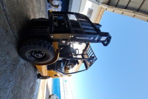 Detalhes do produto Empilhadeira N25