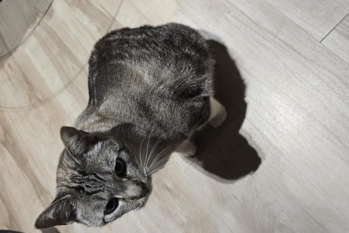 Detalhes do produto 070125-1